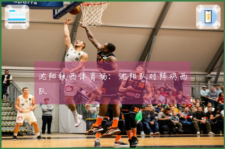 沈阳铁西体育场：沈阳队对阵鸡西队