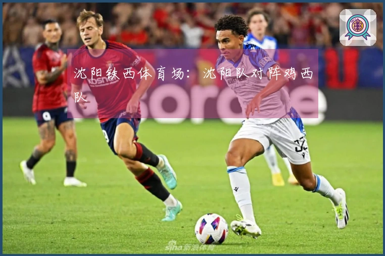 沈阳铁西体育场：沈阳队对阵鸡西队